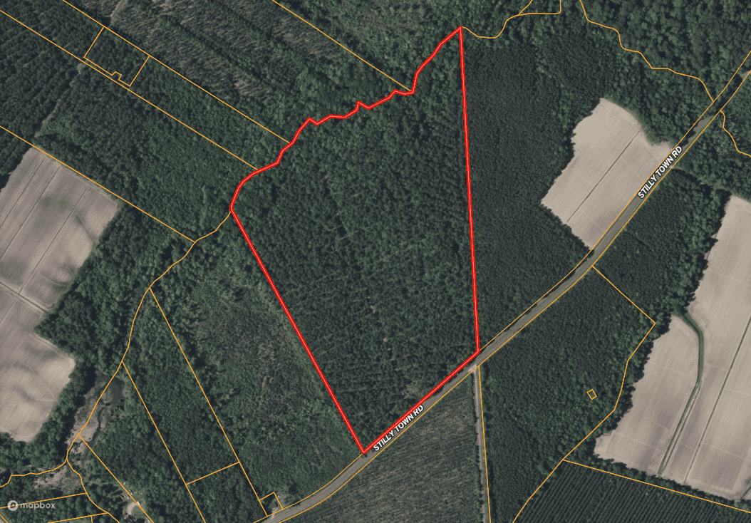 42-Acre Timber & Hunting Land for Sale in Edward, NC